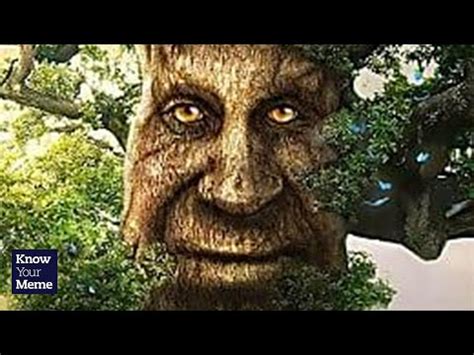 tree with face meme|creepy tree meme.